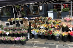 flower stall - also wonder about post-brexit