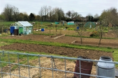 community gardens