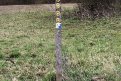 via francigena logo at bottom