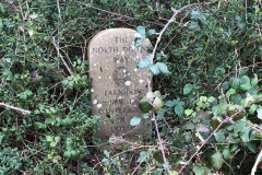 north downs way sign