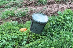 this grain bucket is provided by hunters for the fauna