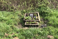 roadside memorial/grave