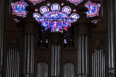 rose over organ