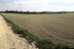 panorama two paths and field