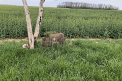 roadside memorial/grave