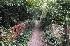 rejoining the path from shepherdswell