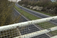 crossing a highway