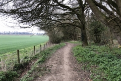 path and field