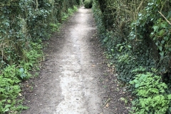 another lovely covered path