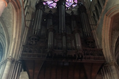 organ