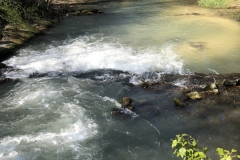 river on one side of a bridge