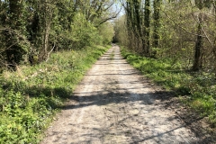 country road away from canal