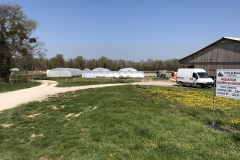 local farm with weekly sales to public