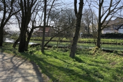 houses along canal