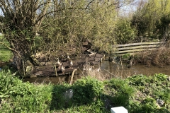 eco-demonstration farm - geese