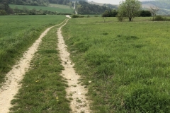 path and hills