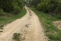 path