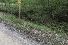 via francigena sign - rare that i am actually on the path...