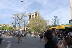 notre dame post-catastrophe